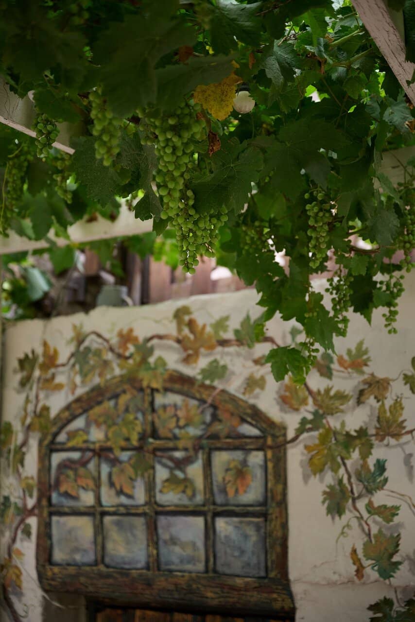 Charming and Elegant Ambiance