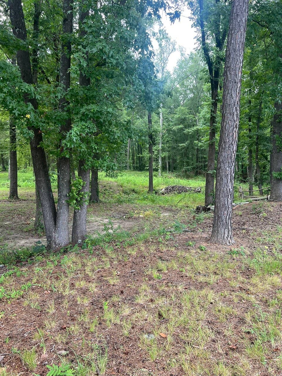 Interpretive Signage