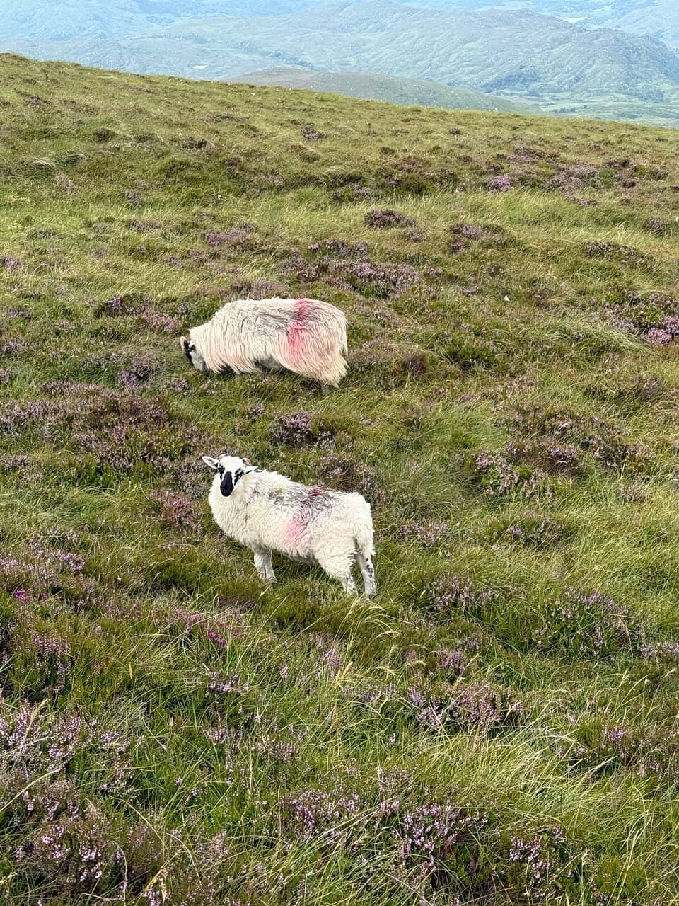The Cascading Waterfall