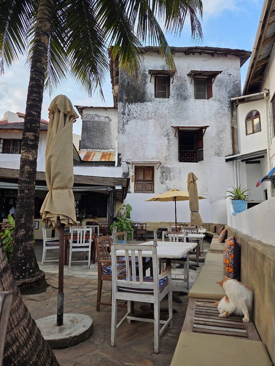 Unassuming Local Atmosphere