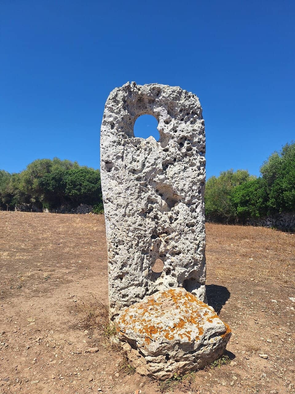 Vertical photo