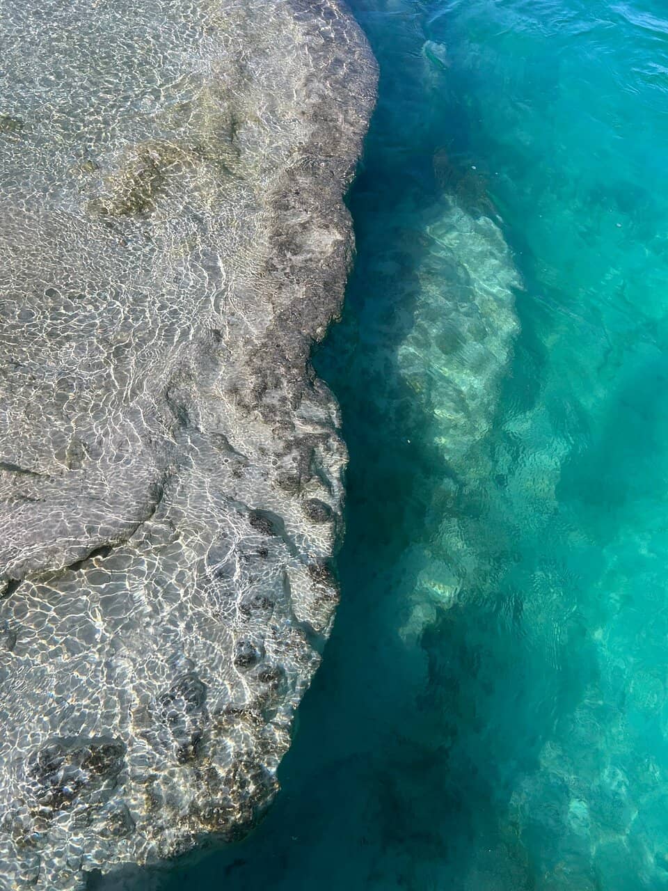 Ancient Stromatolites