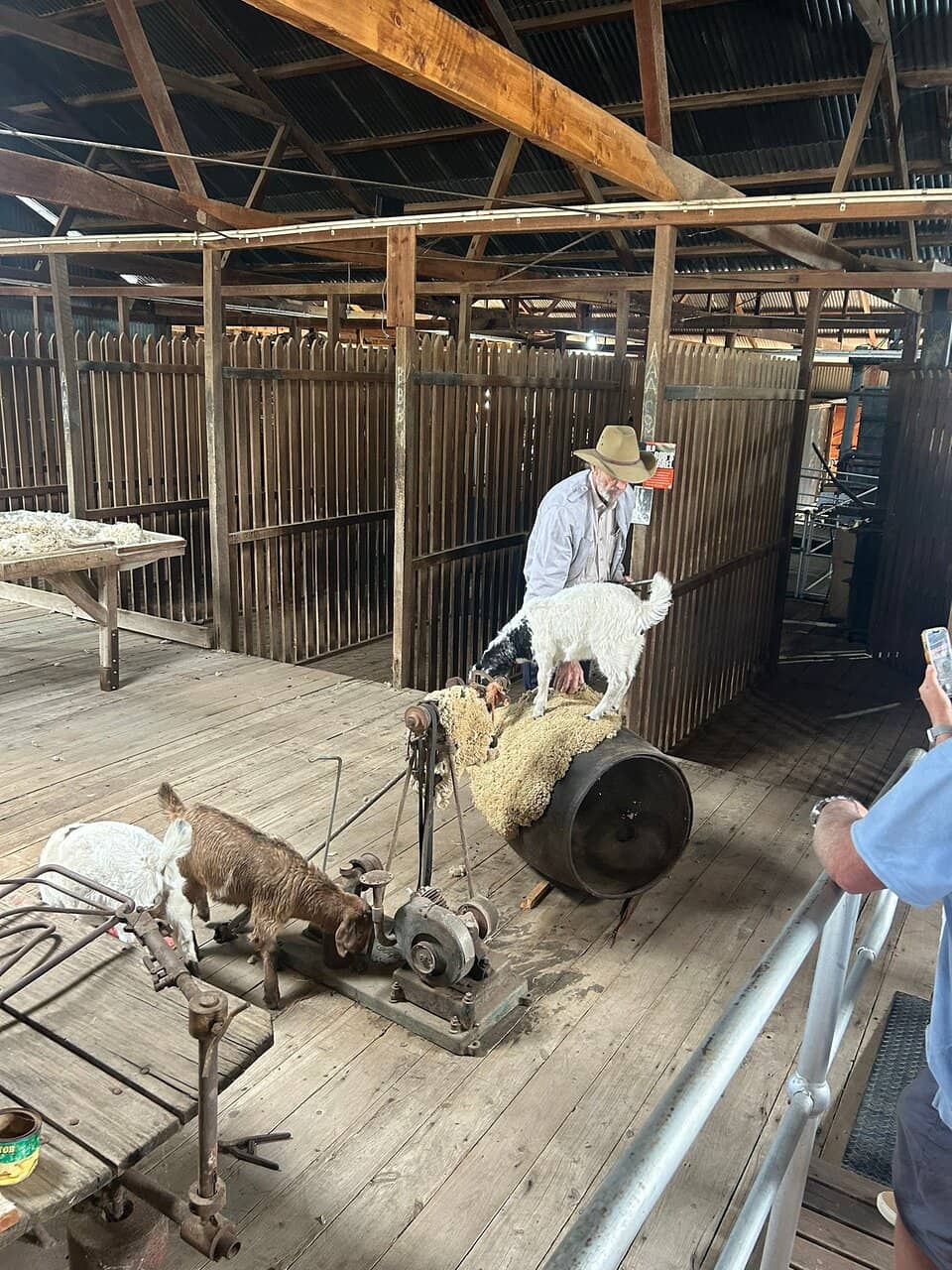 Living Museum Experience