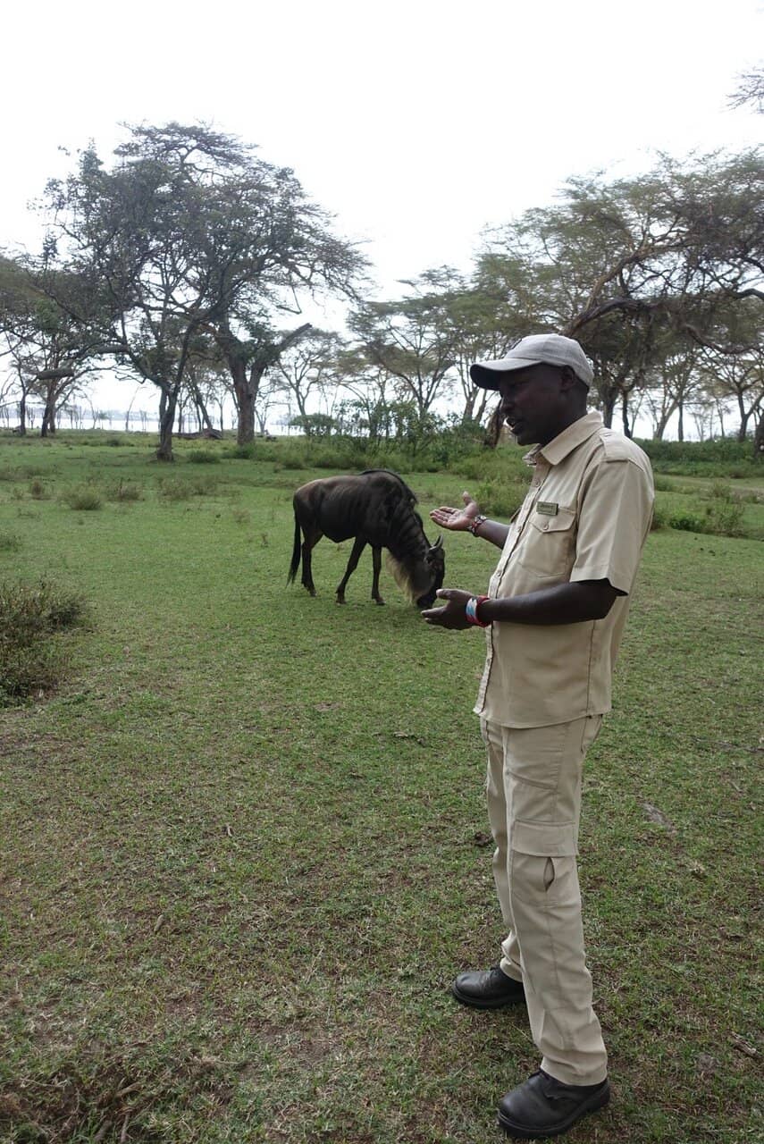 Lake Naivasha Boat Ride