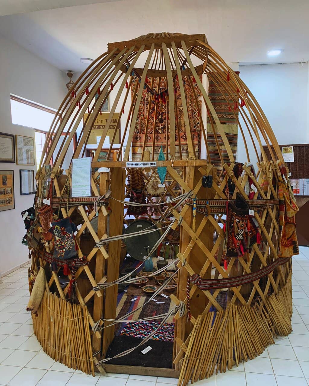 Largest Leatherback Turtle