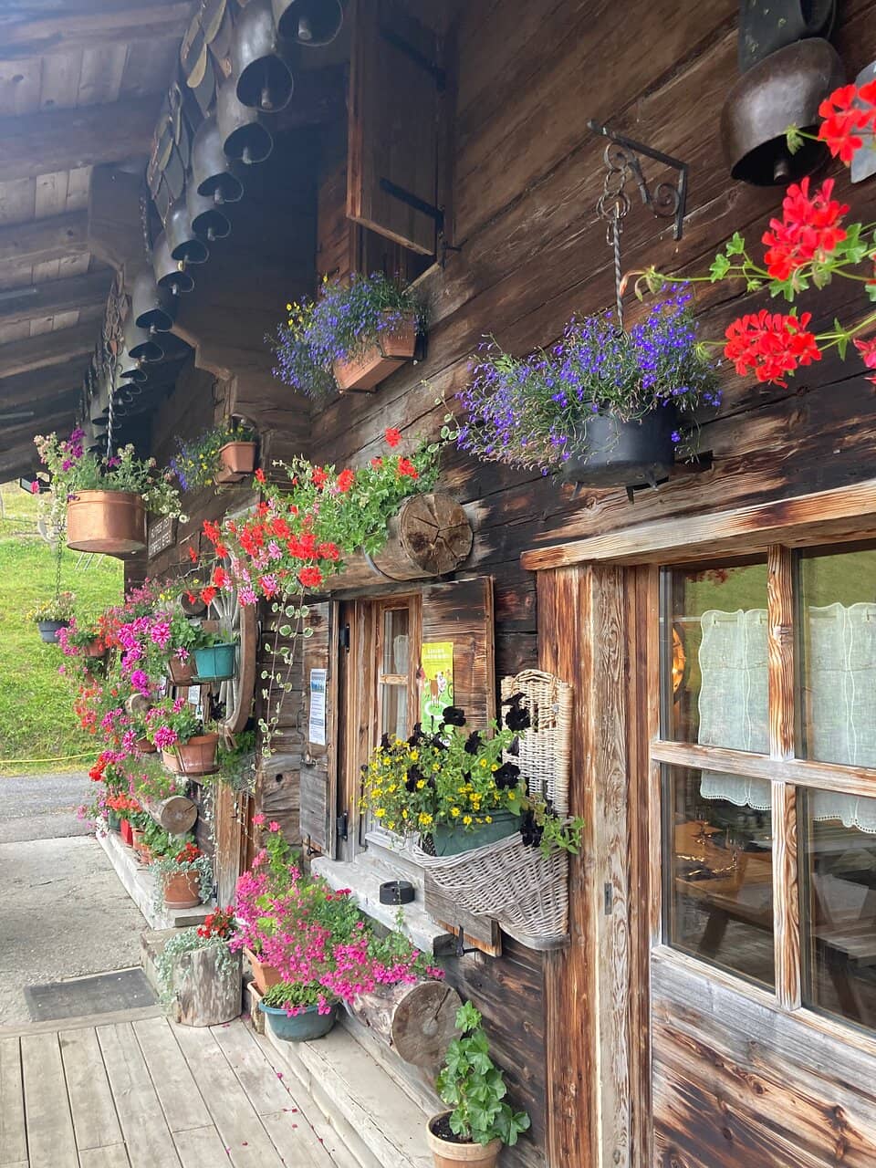 Scenic Mountain Views