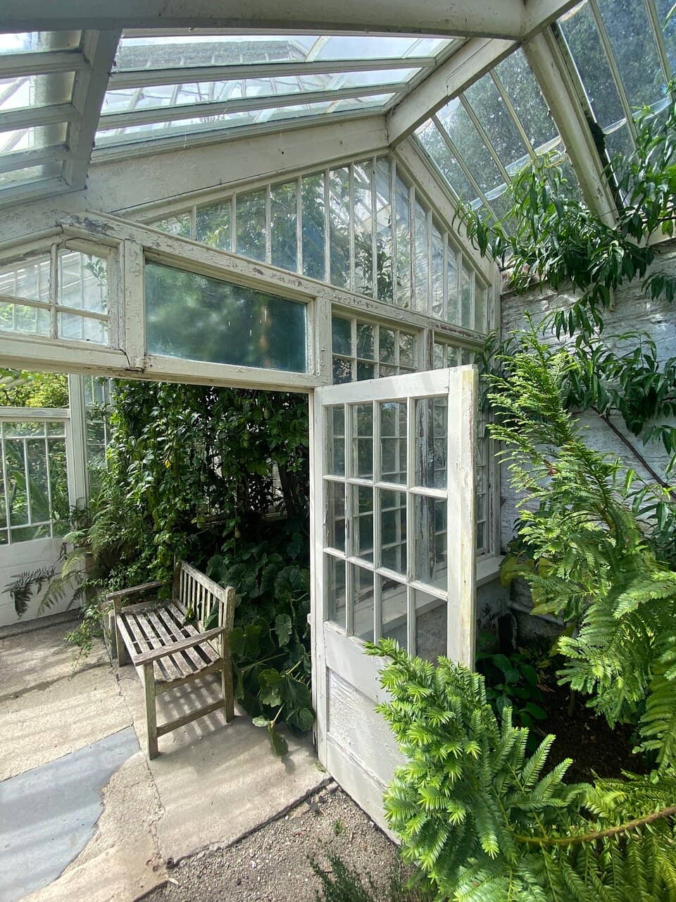 Victorian Glasshouse