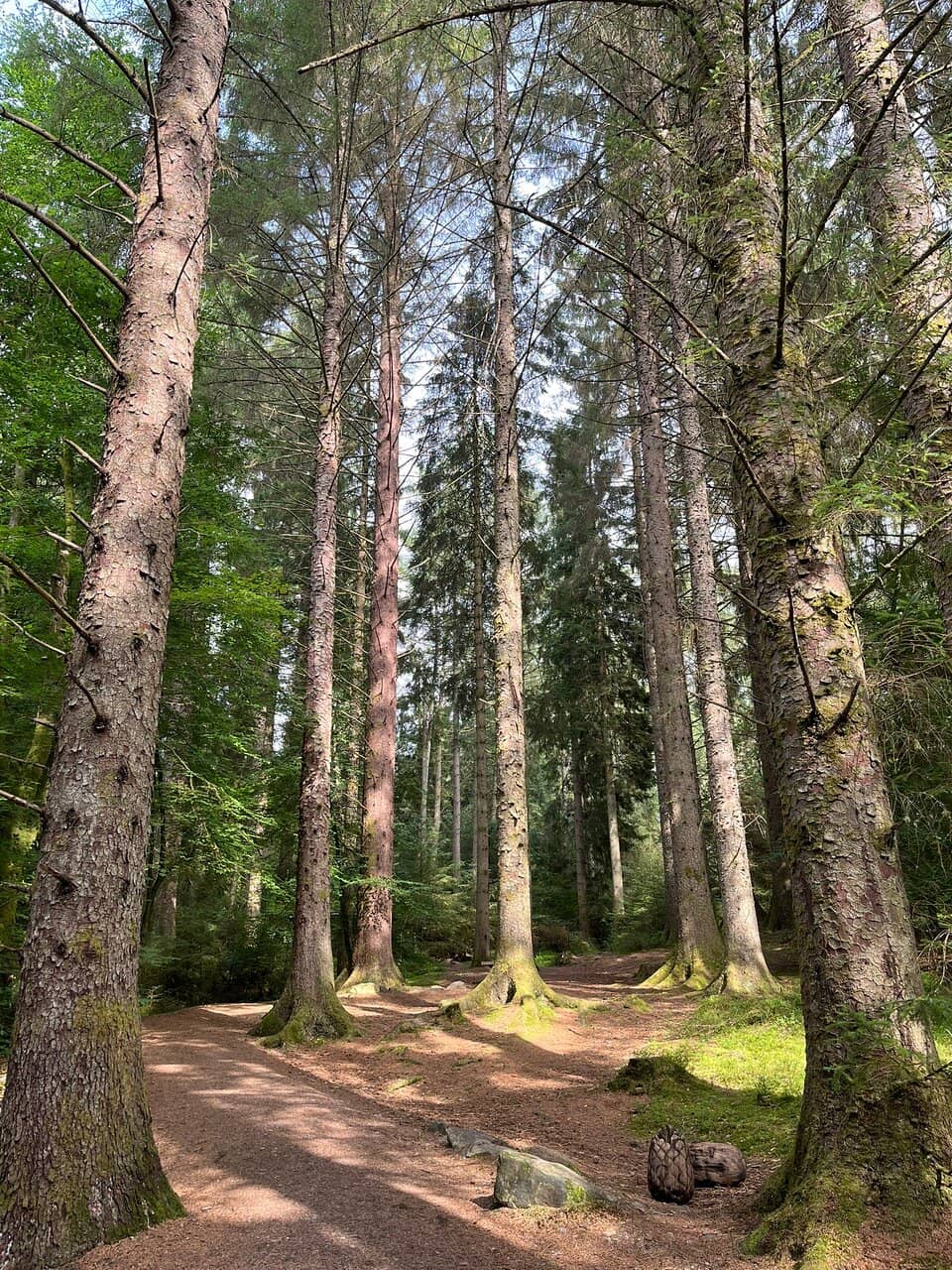 Puck's Glen
