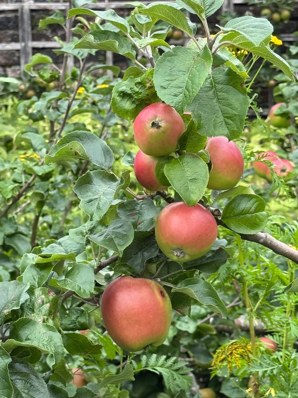 Period Details & Personal Items