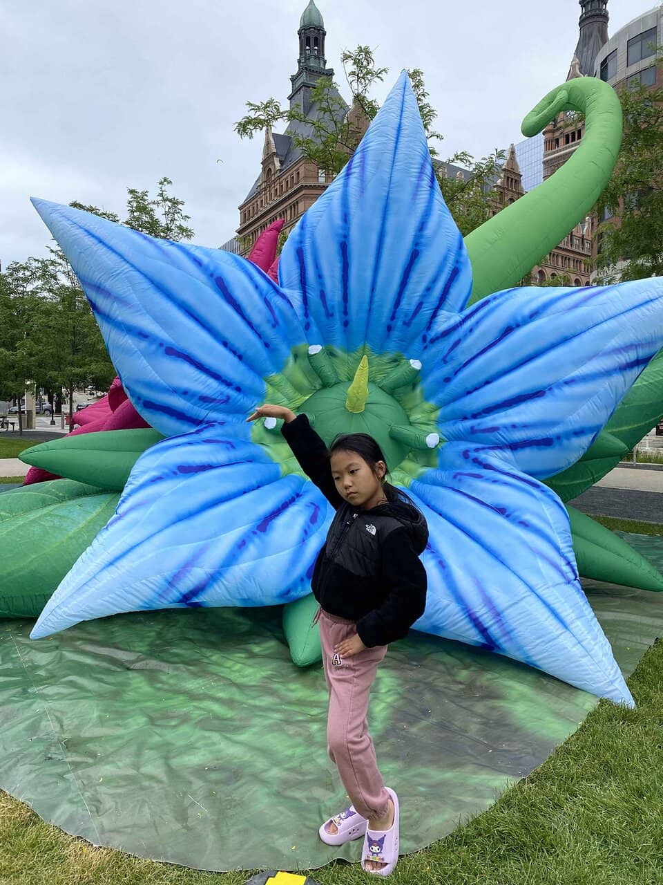 Evanescent Art Installation