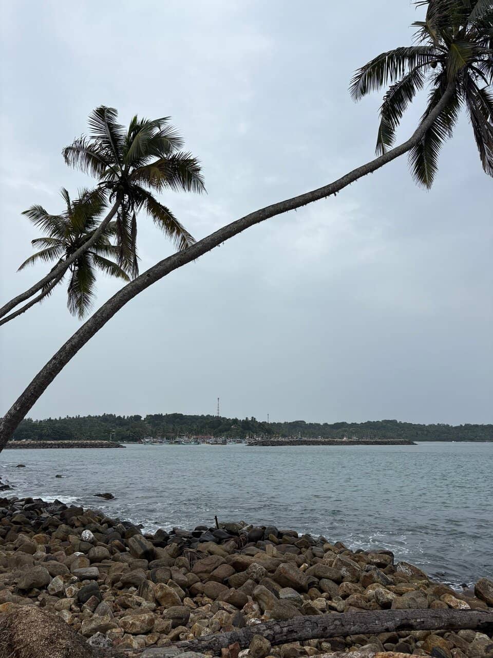 Sunset Beach Camping