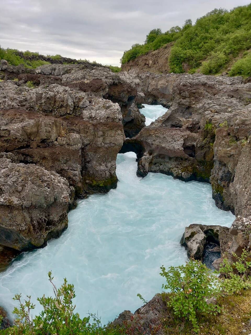 Autumnal Color Spectacle