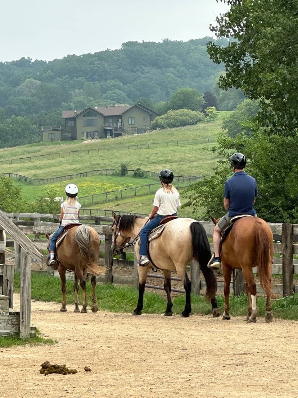 Draft Horse Encounters