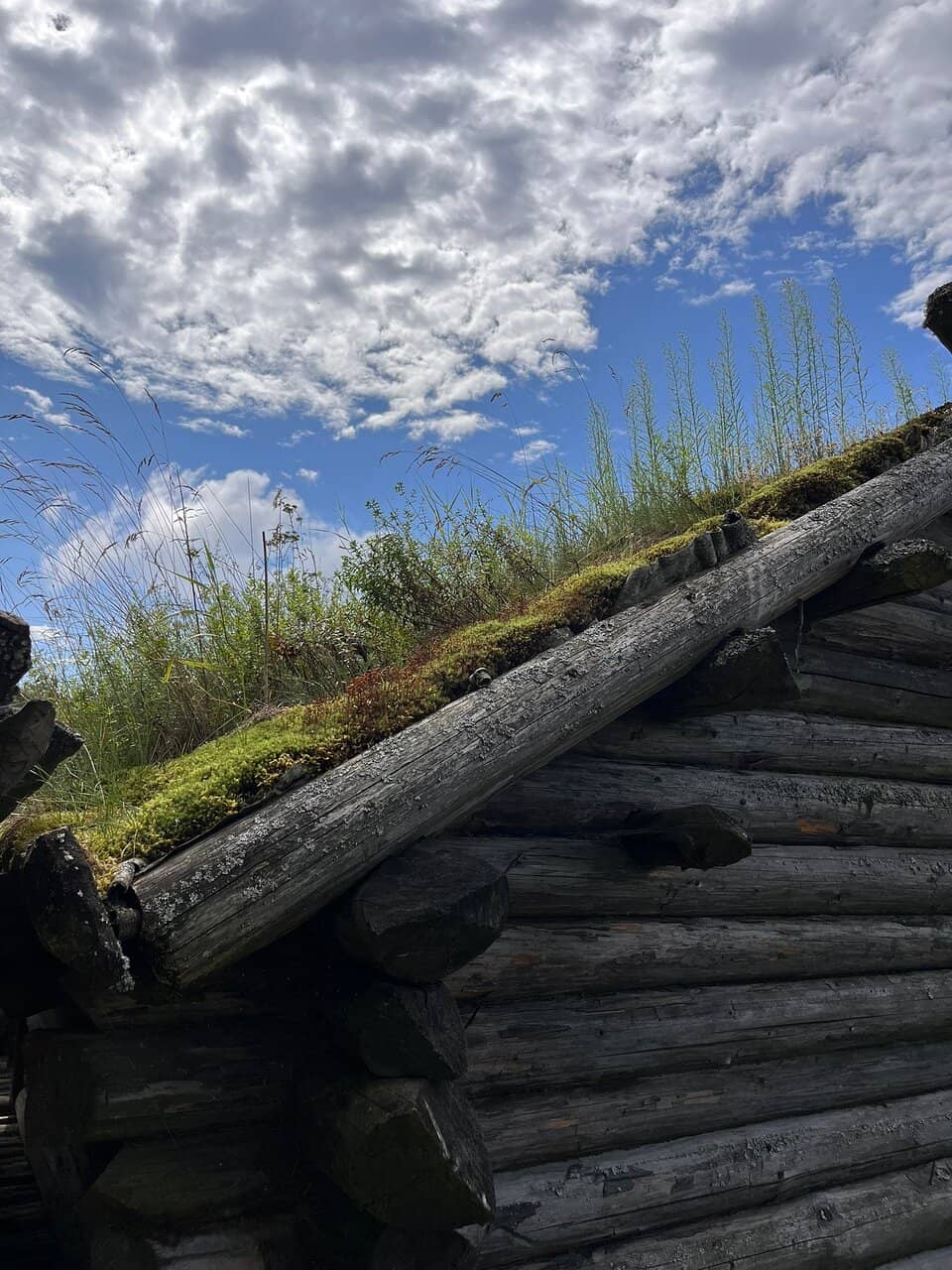 Medieval Castle Ruins
