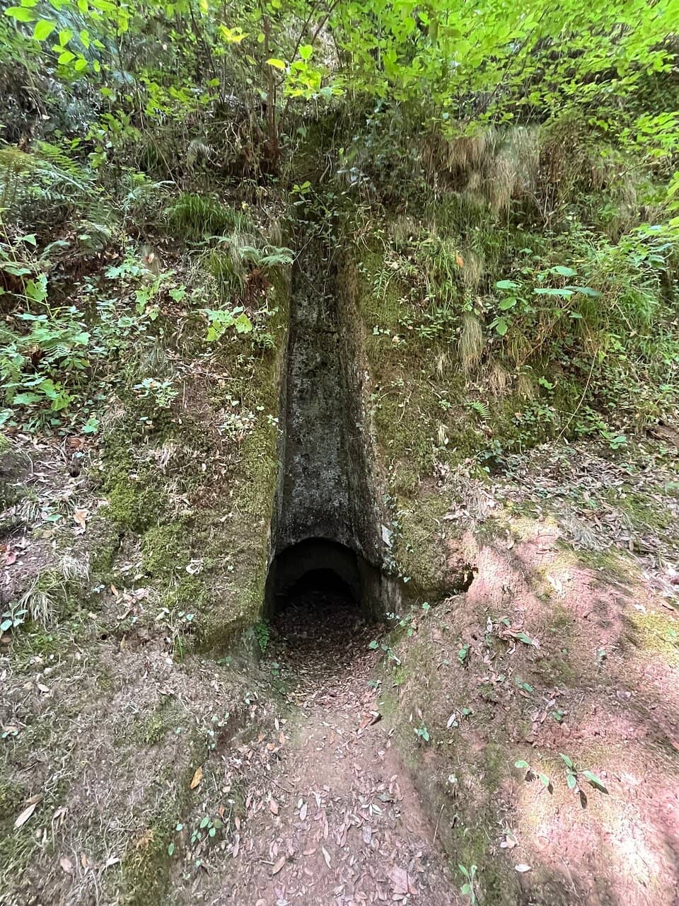 Etruscan Necropolis