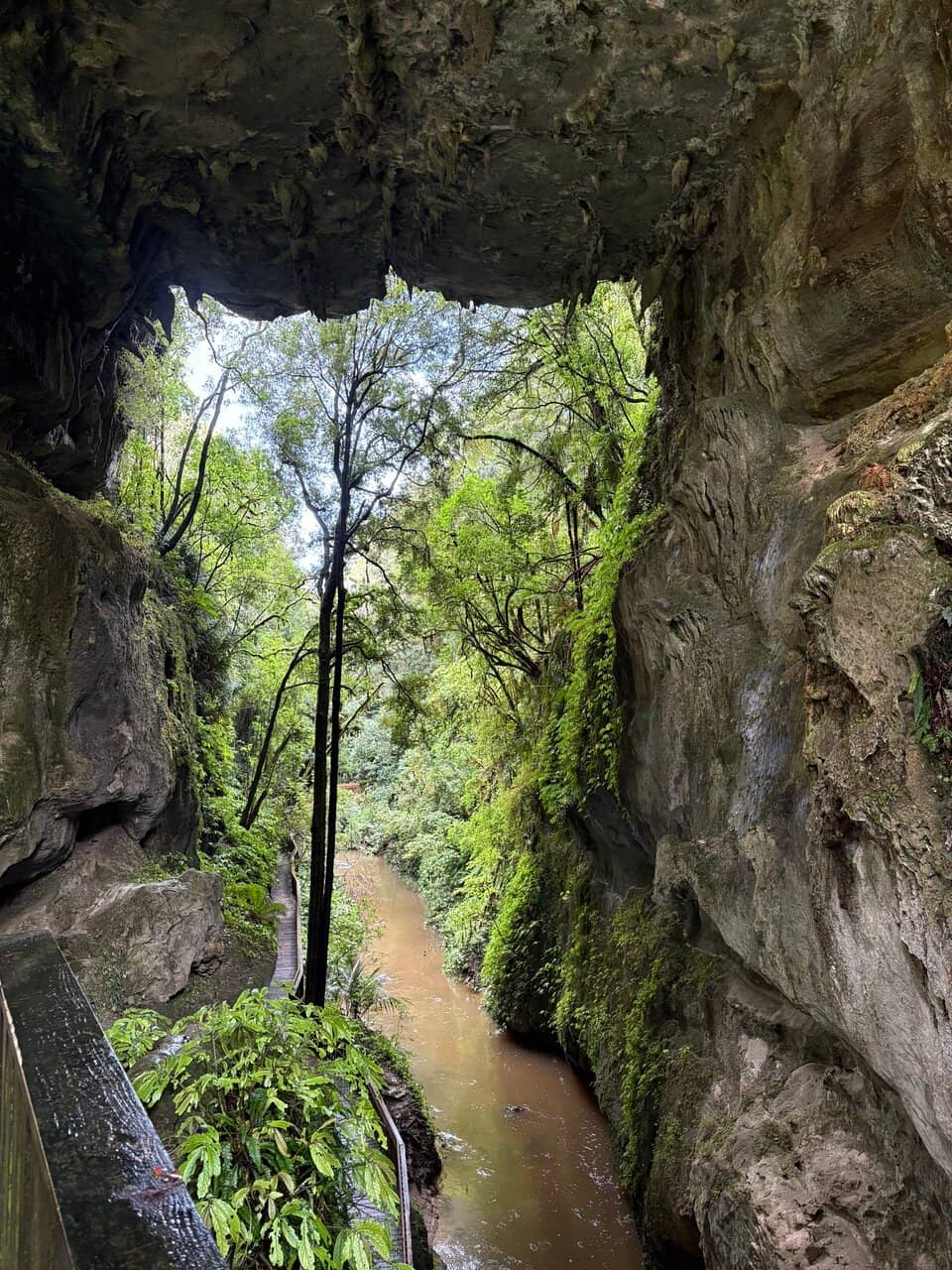 Vertical photo