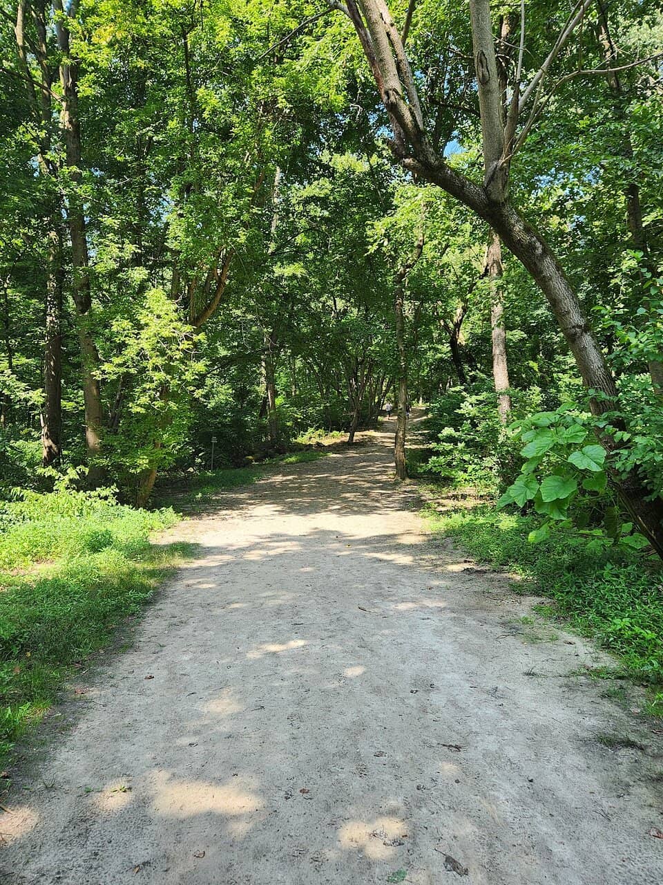 Rock Climbing Adventures