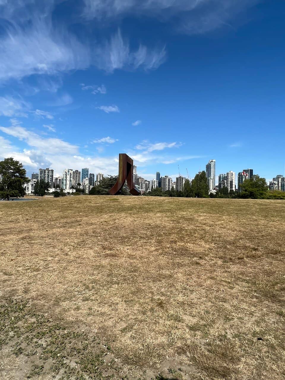 Kite Flying & Picnics
