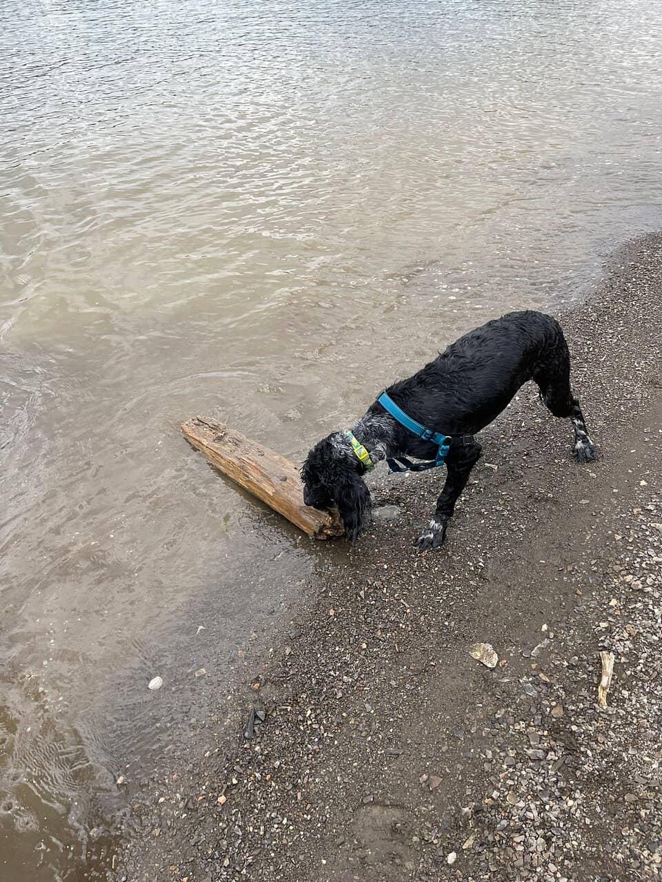 Dillon Reservoir Recreation Path