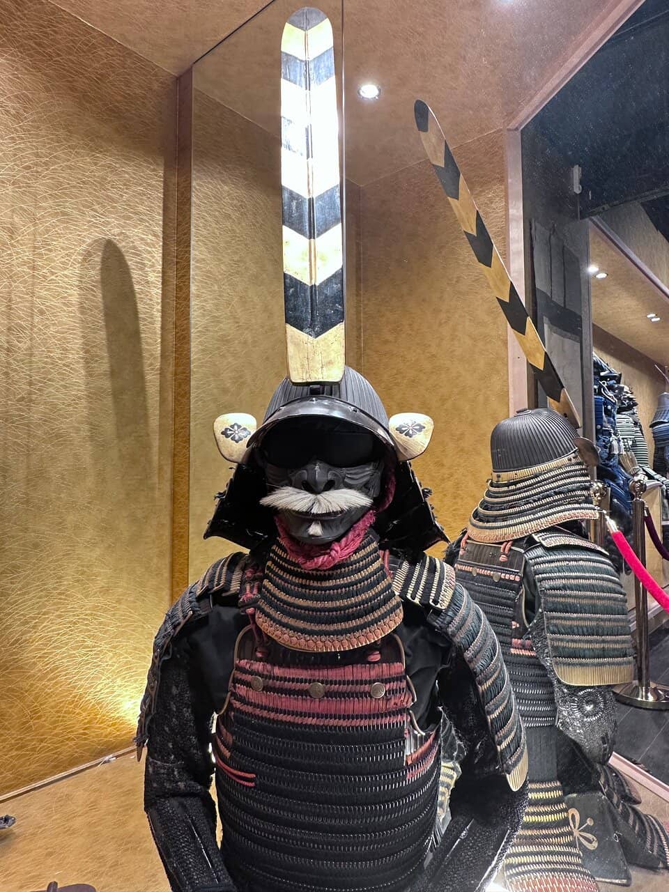 Samurai Costume Try-On