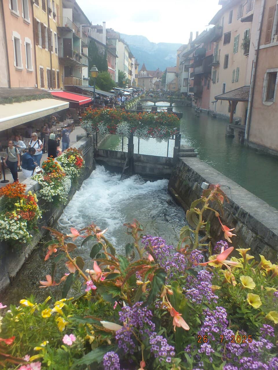 Local Life Observation