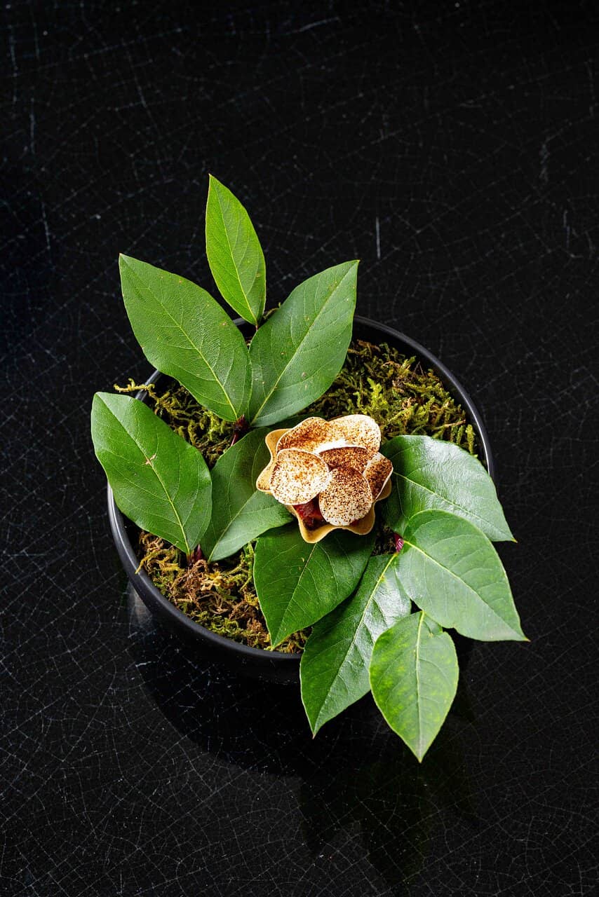 Innovative Culinary Techniques