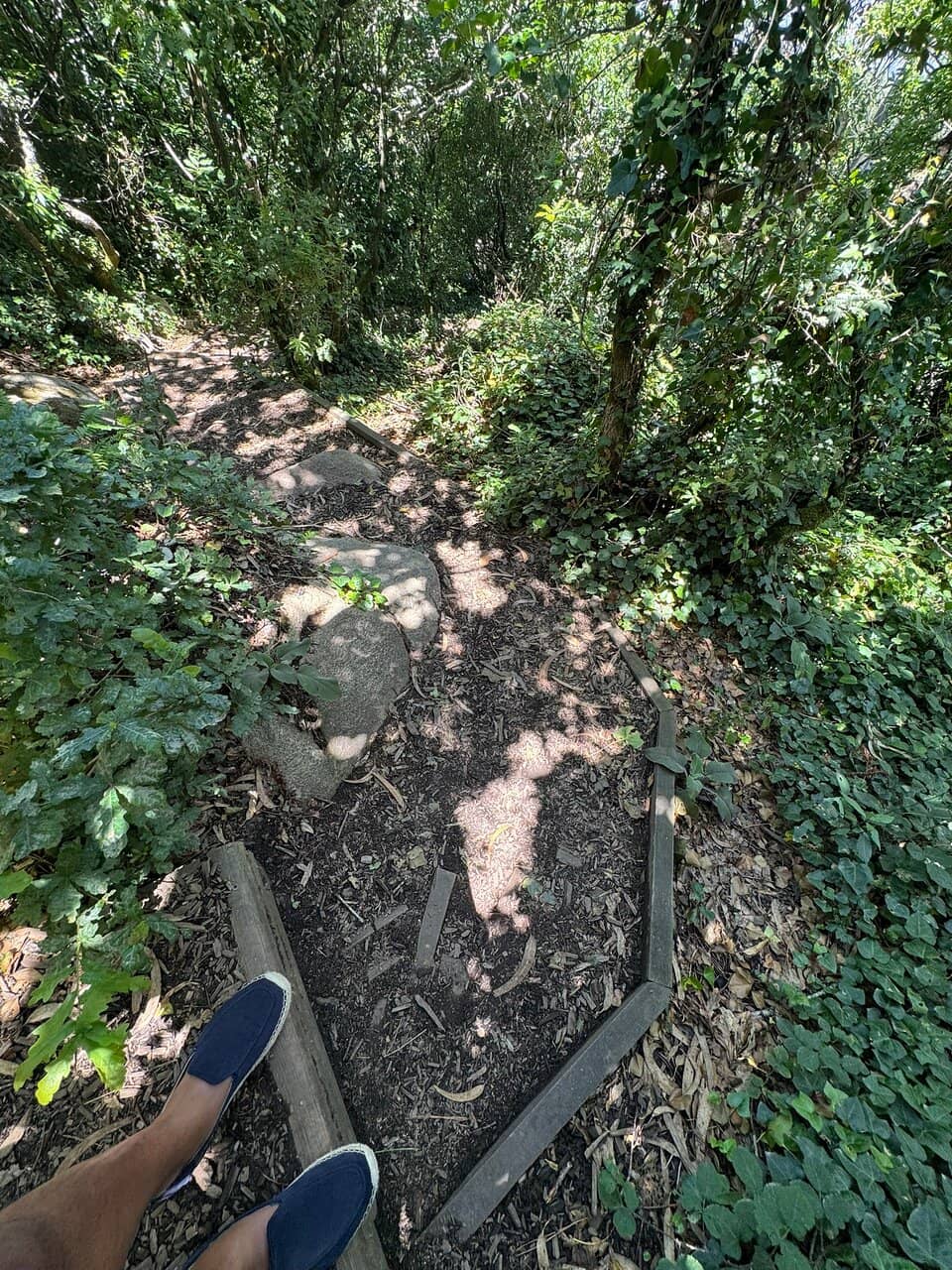 Vertical photo