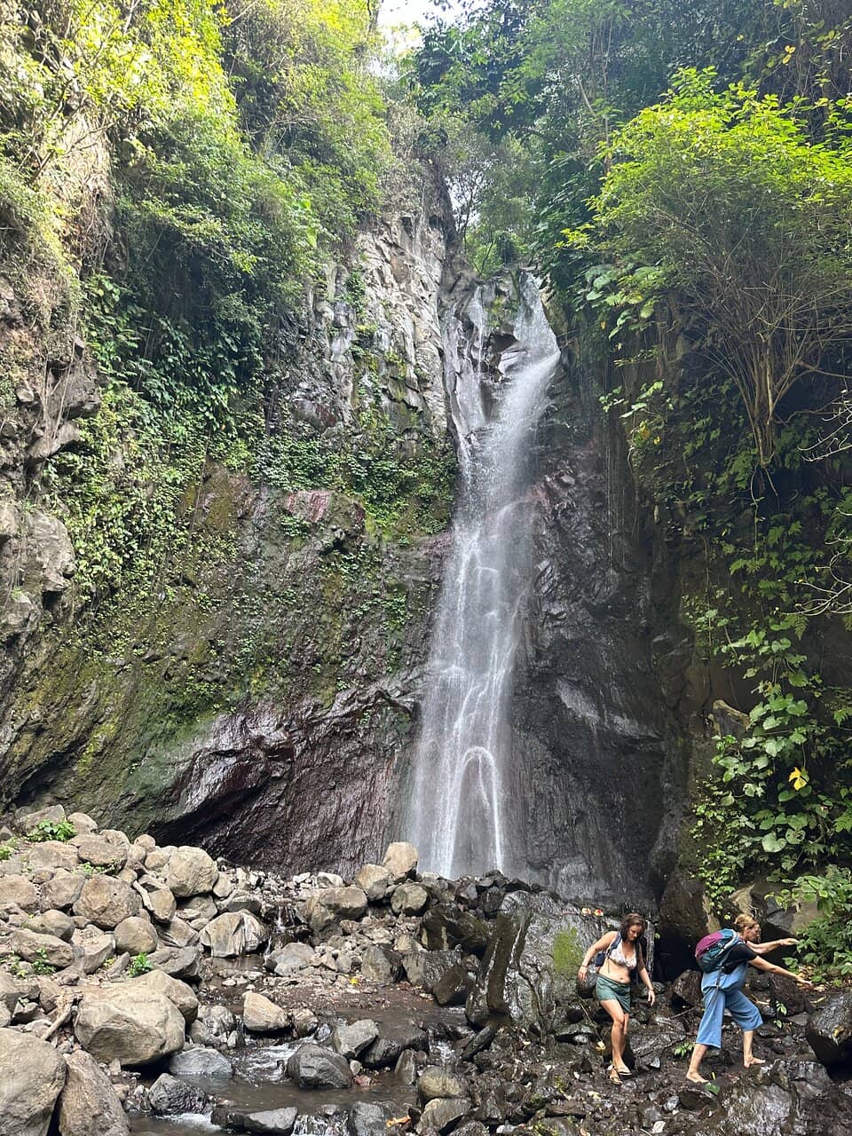 Vertical photo