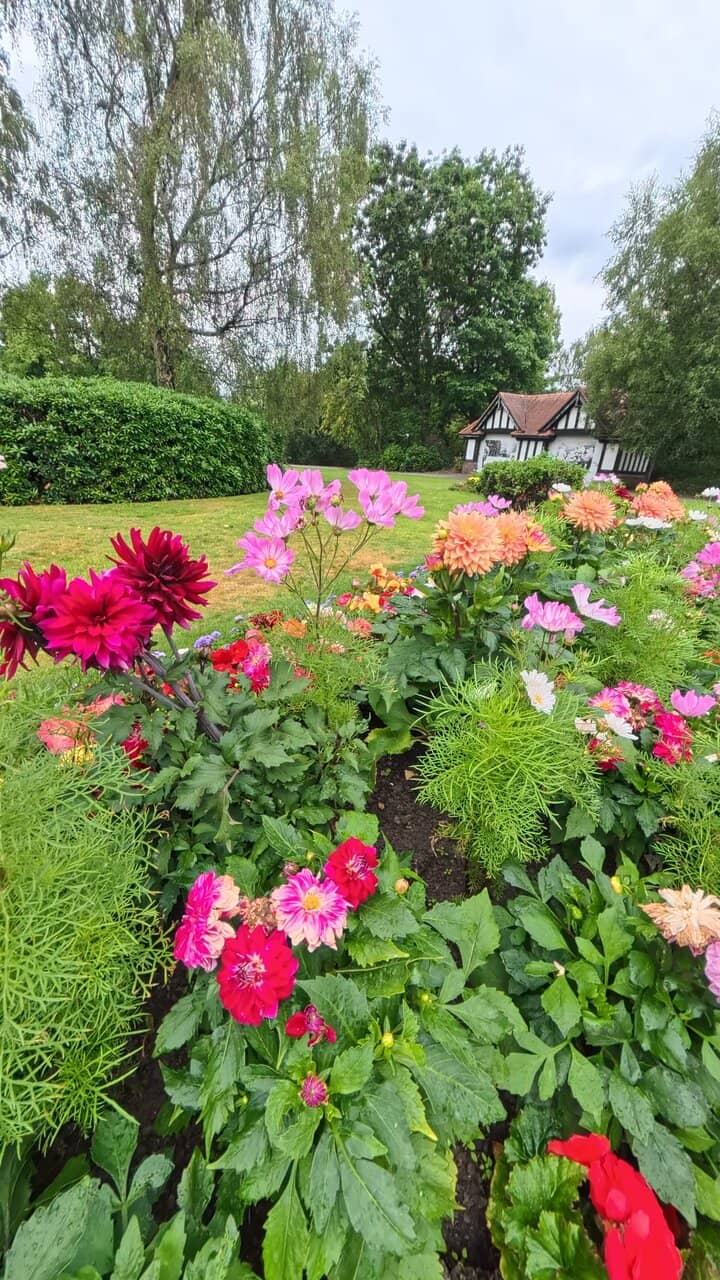 The K's Homecoming Gig