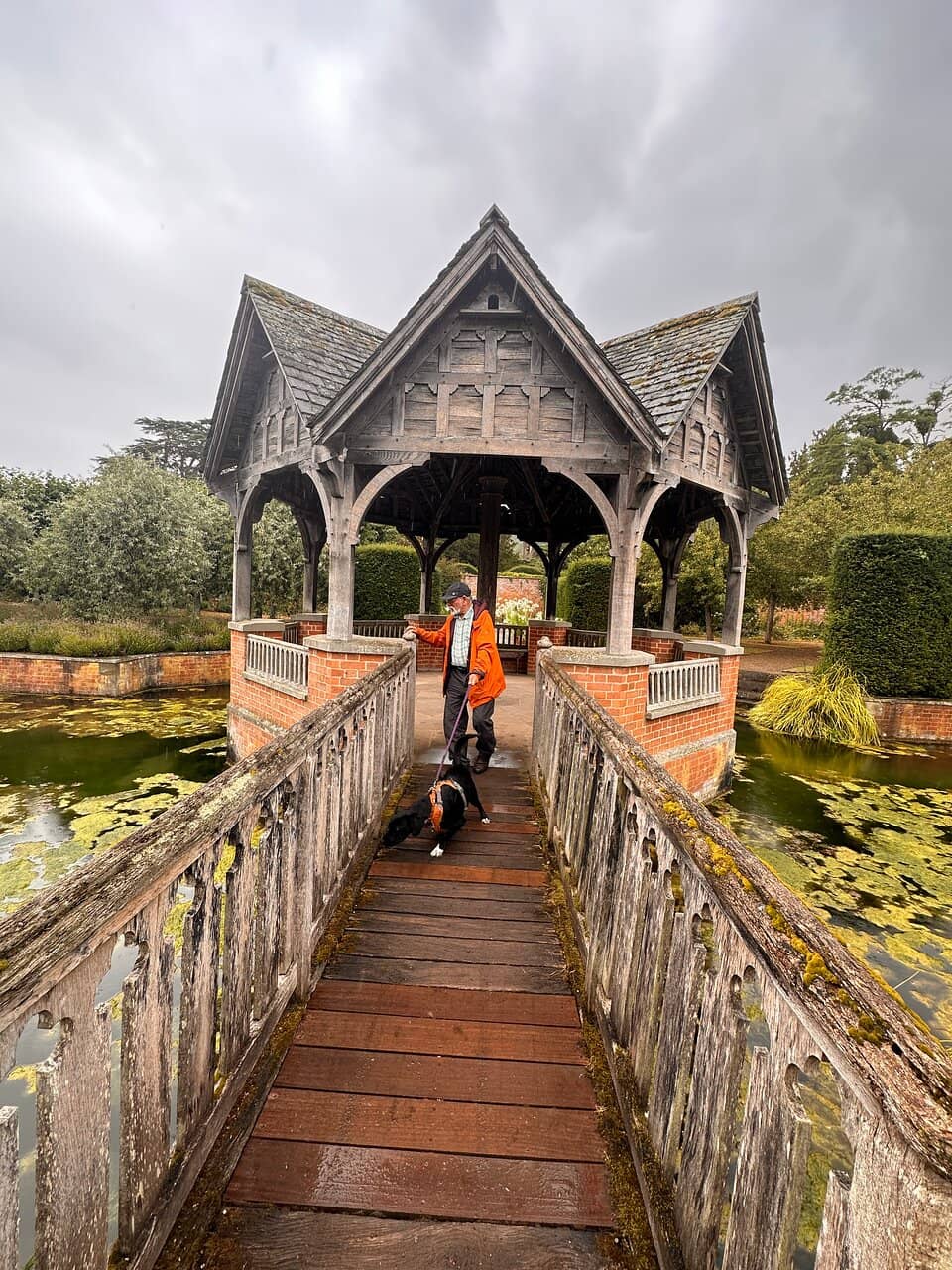 Waterfall and Pond Feature