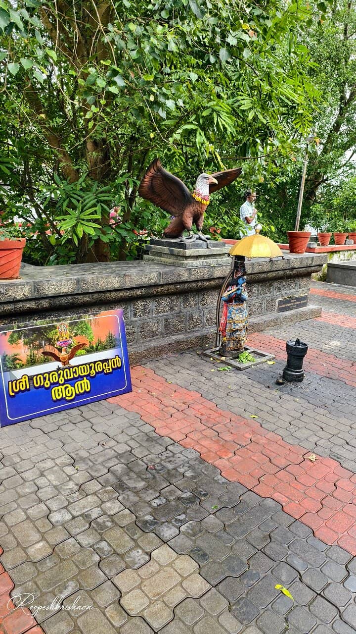 Panoramic Hilltop Views