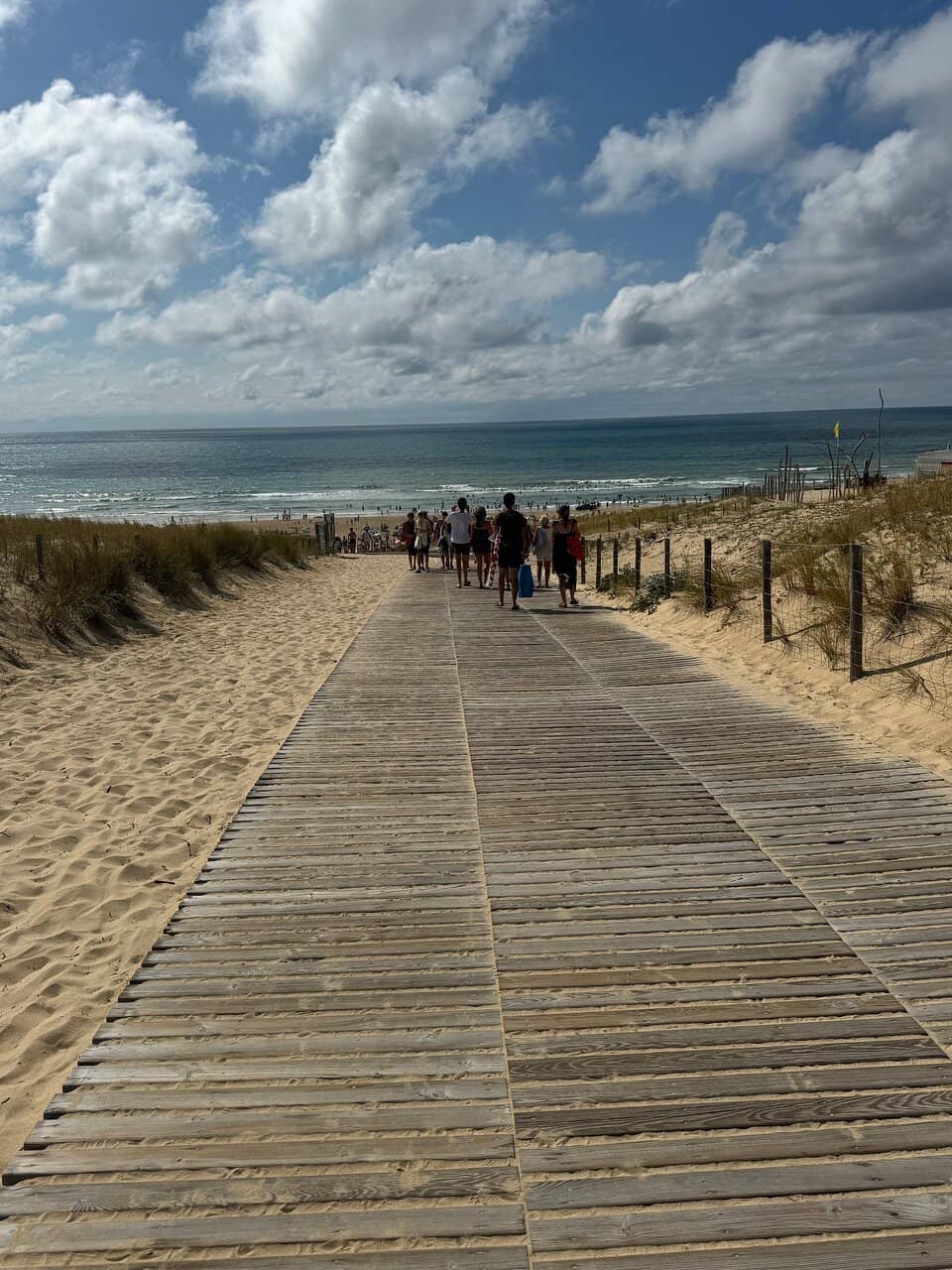 Lifeguarded Swimming Areas