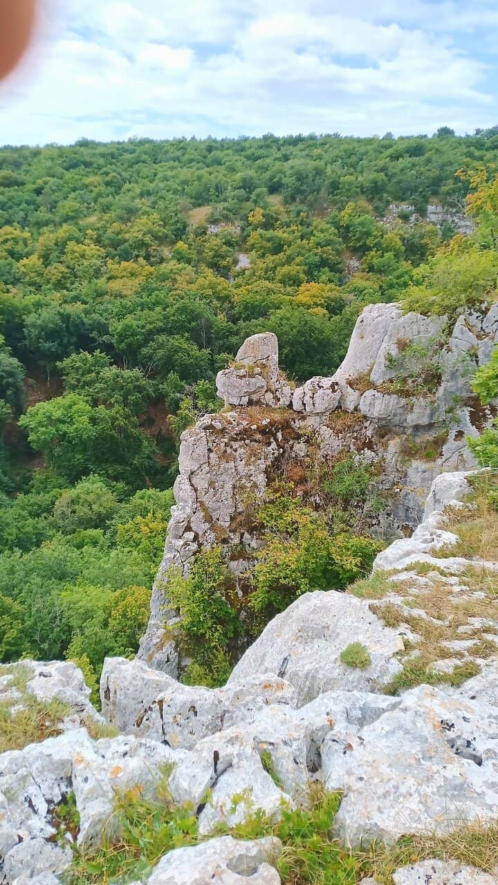 Vertical photo