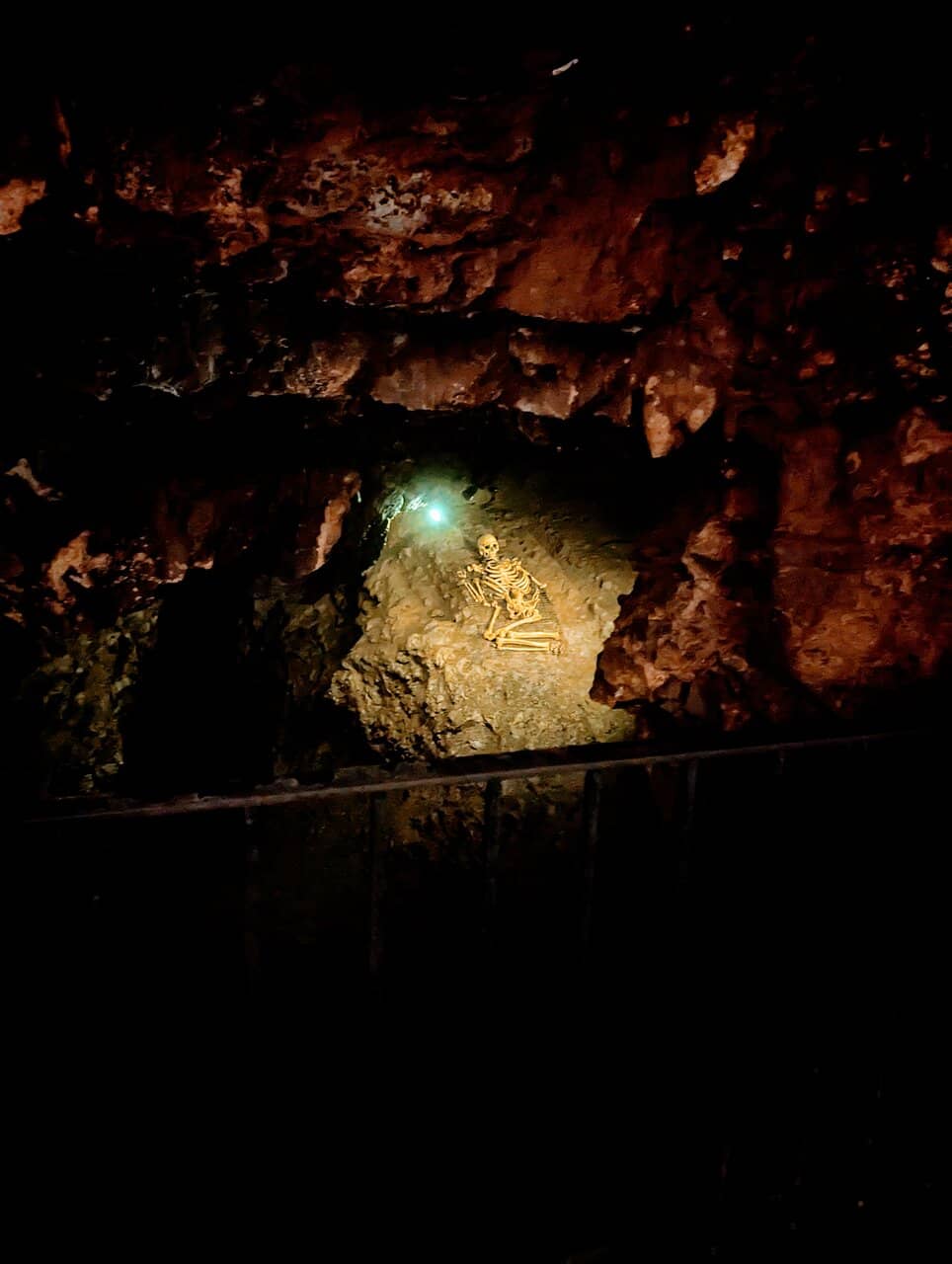 Cheddar Man Exhibit