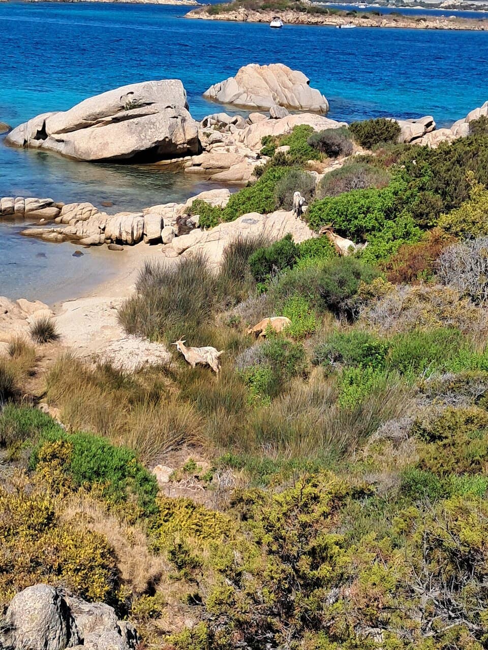 Secluded Beach Vibe