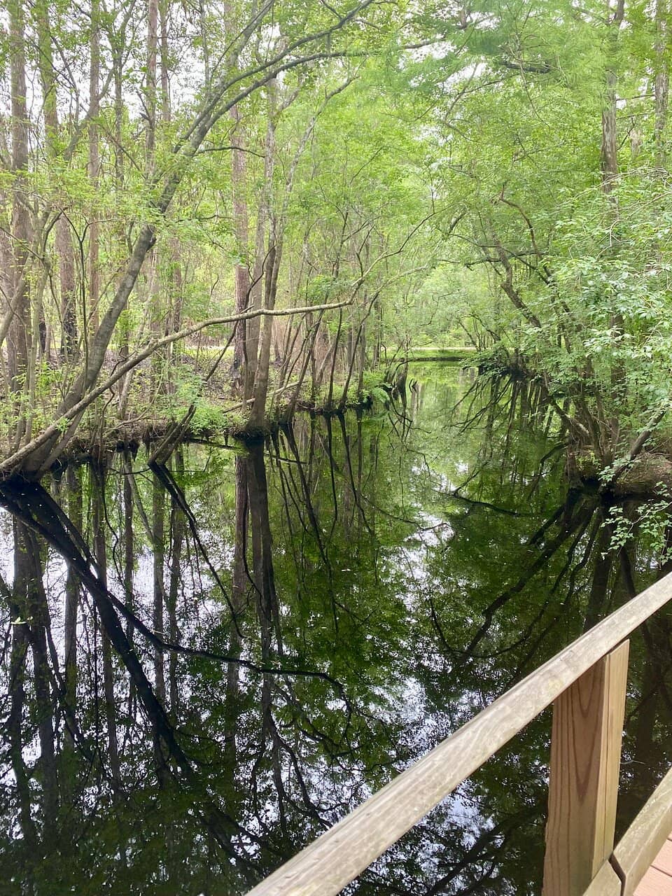 Visitor Center Exhibits