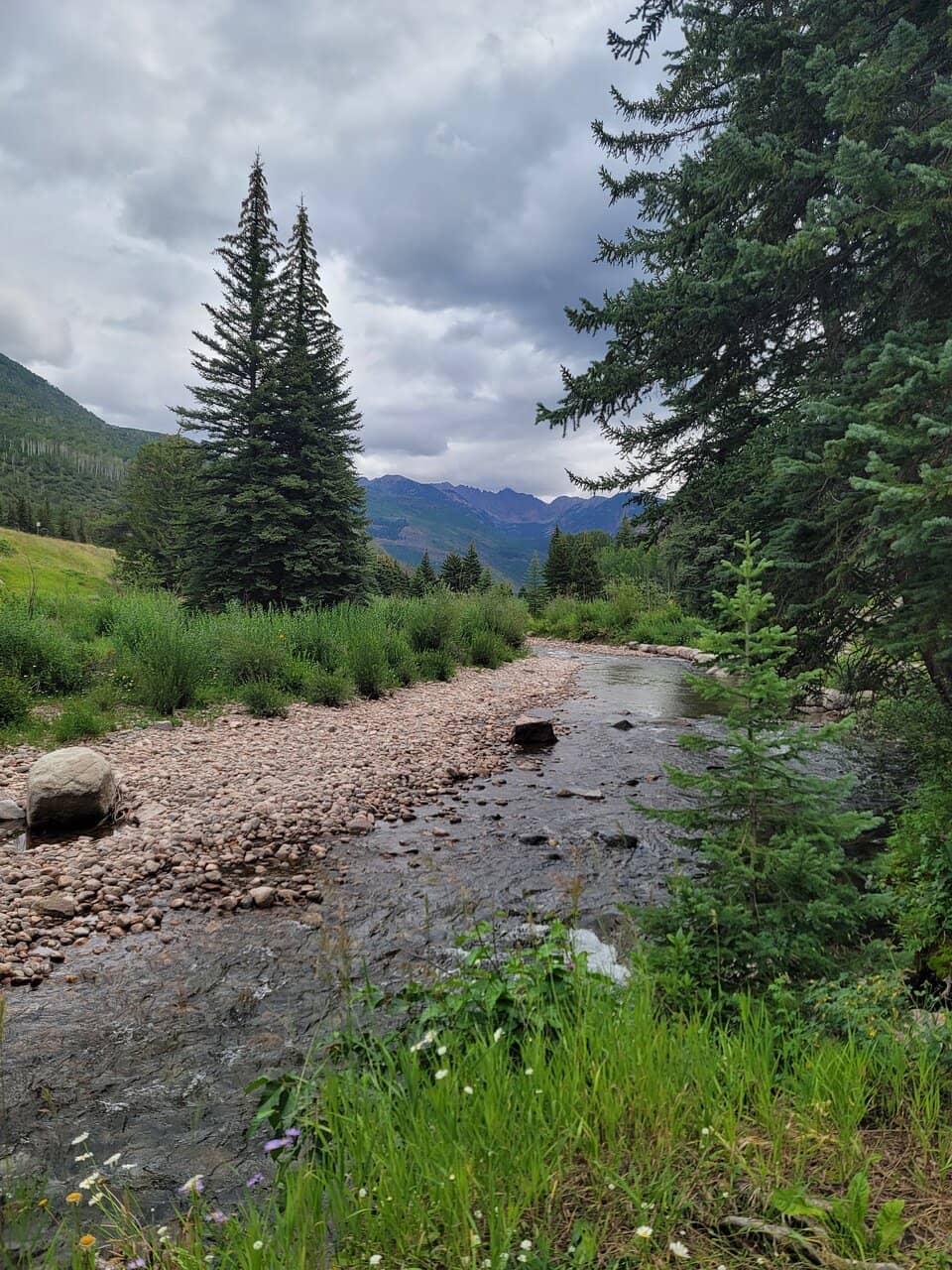Nature Discovery Center