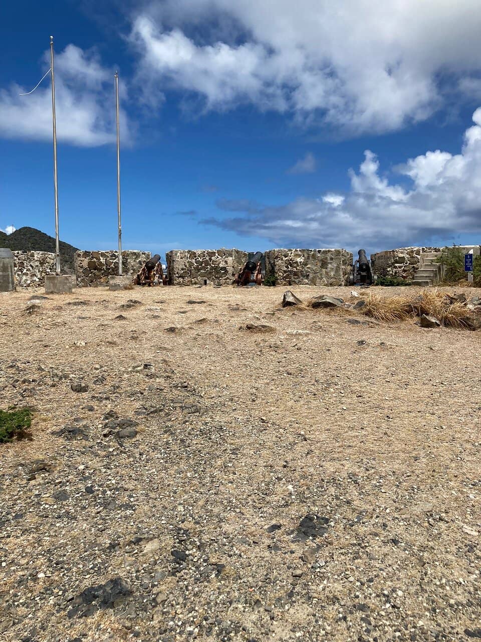 Pelican Nesting Colony