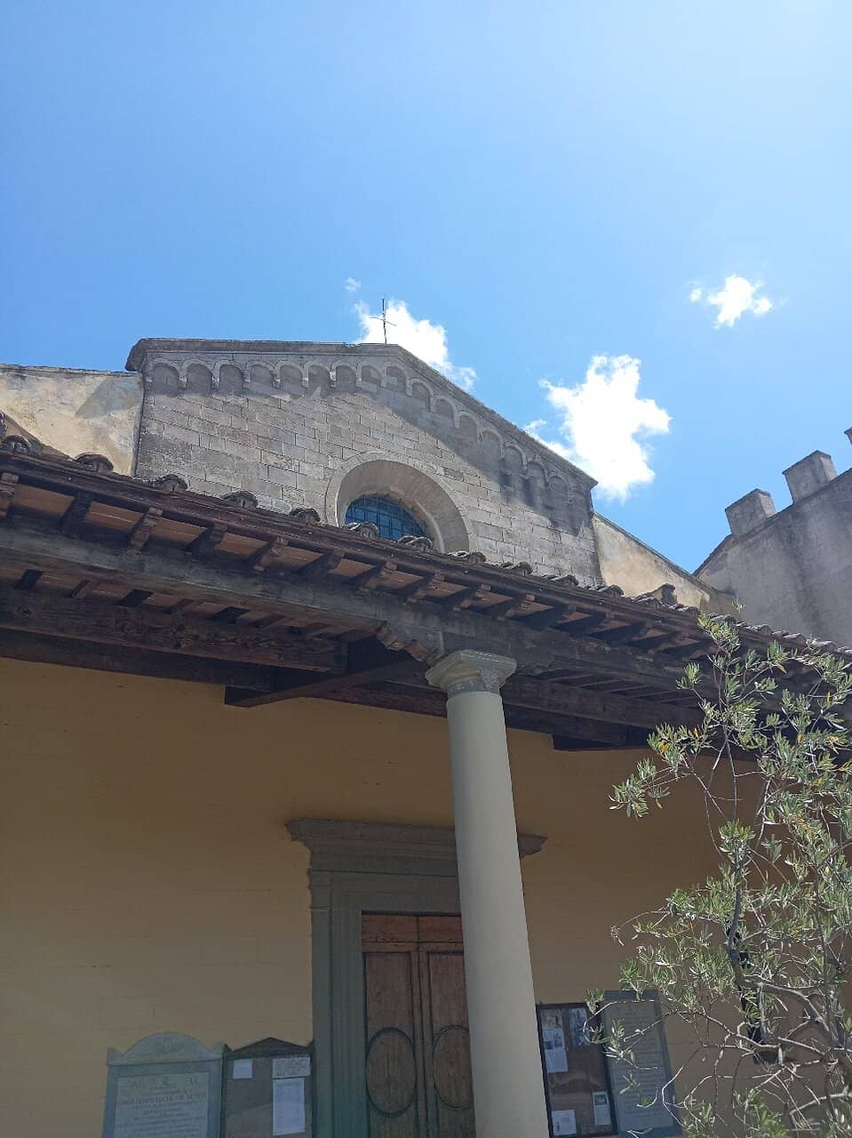 Vertical photo