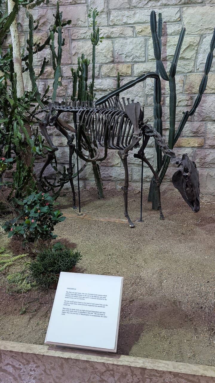 Aquatic Life Exhibits