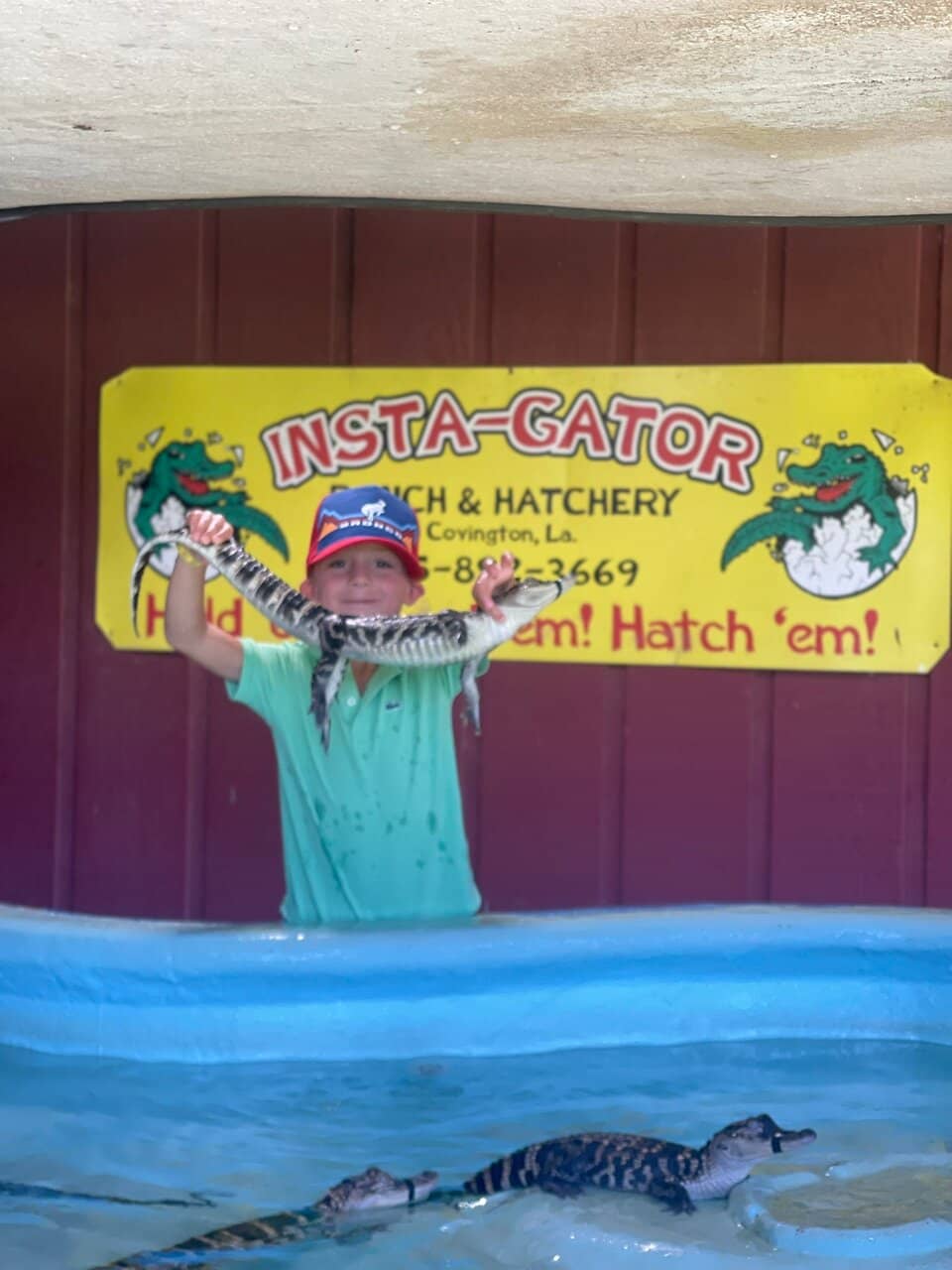 Educational Guided Tours