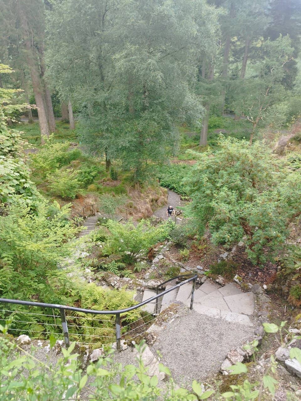 Puck's Glen