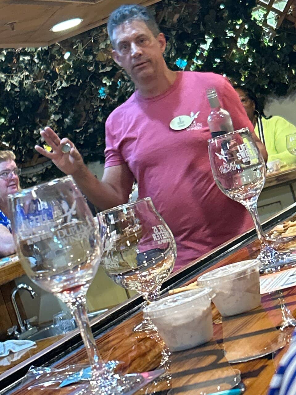 Frozen Wine Slushies