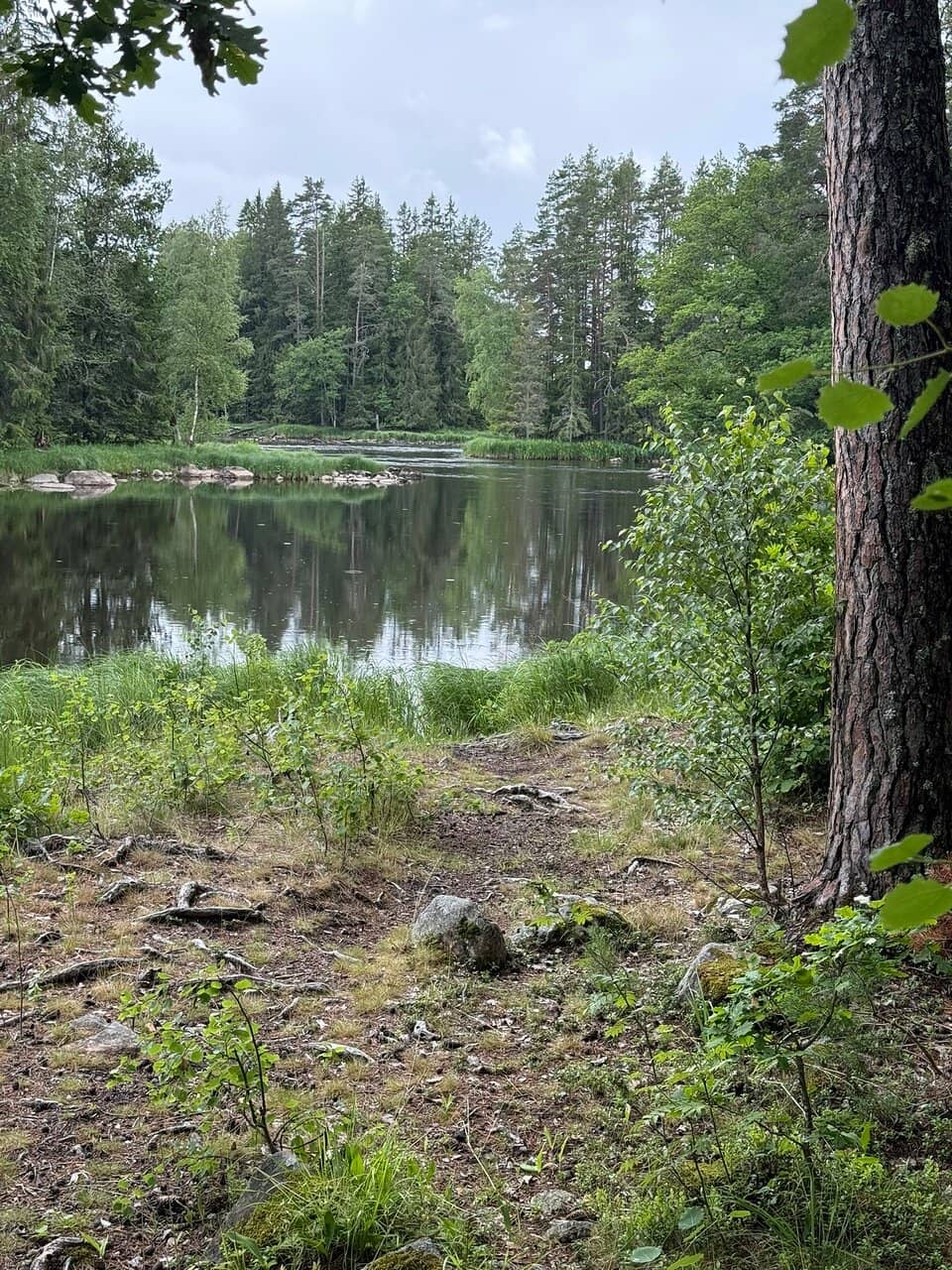 Abundant Wildlife