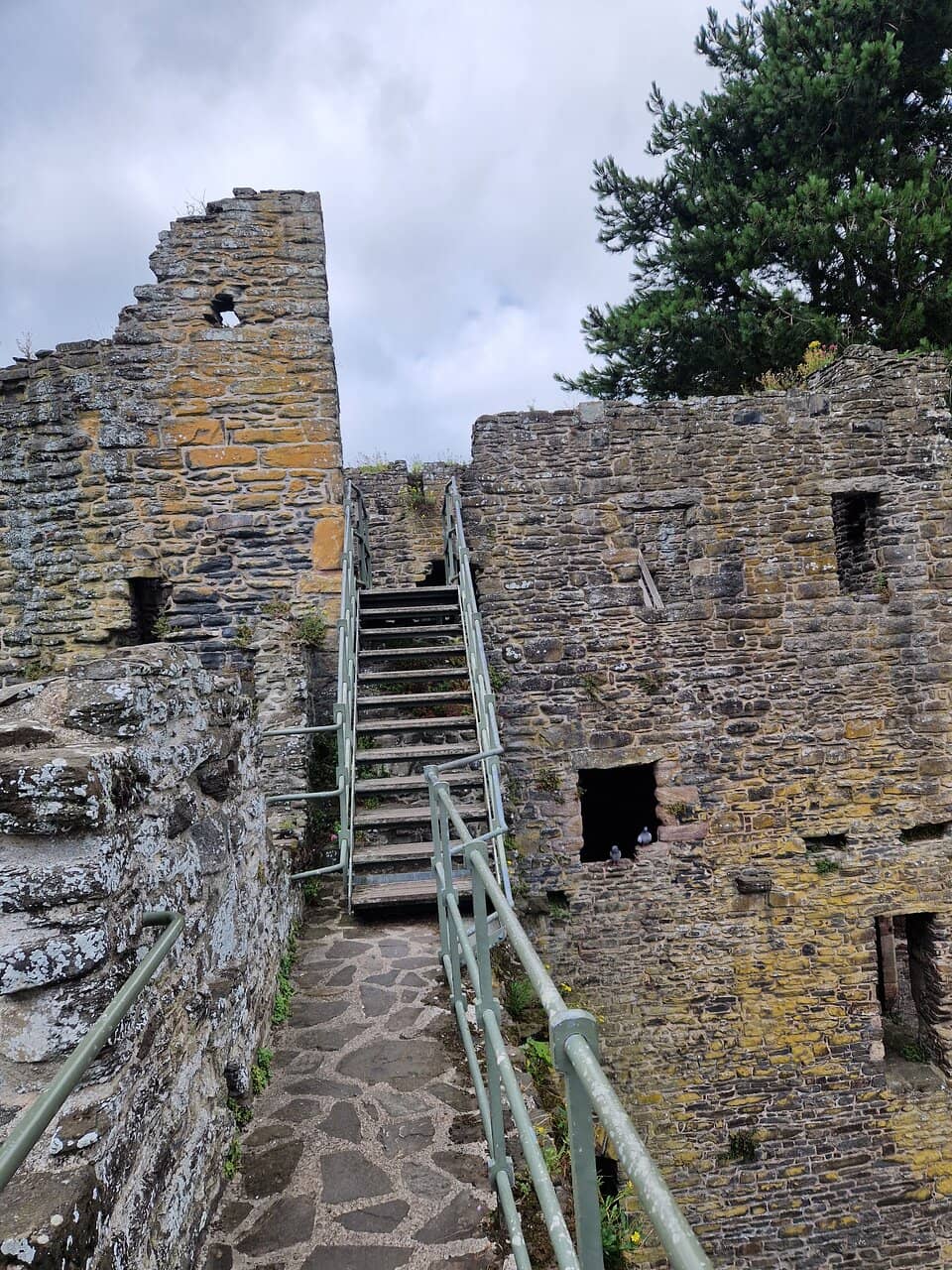 Conwy Castle Views