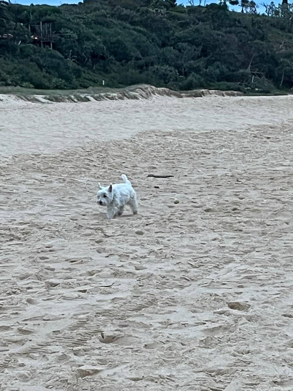 Mooloolaba Spit