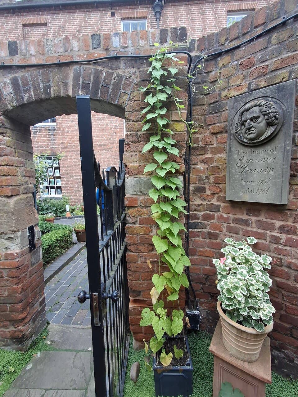 Apothecary Garden