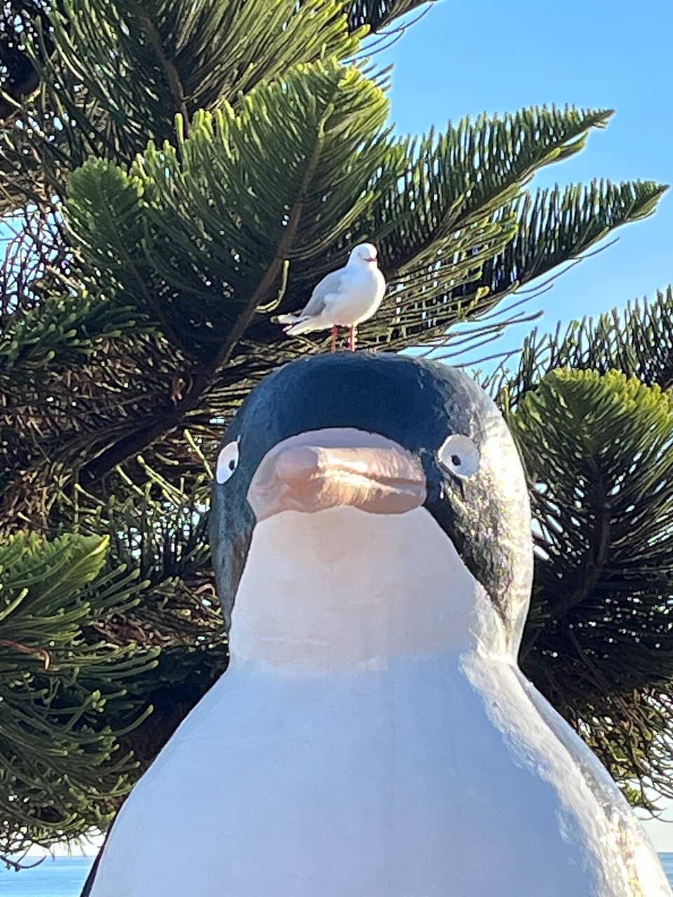 Vertical photo