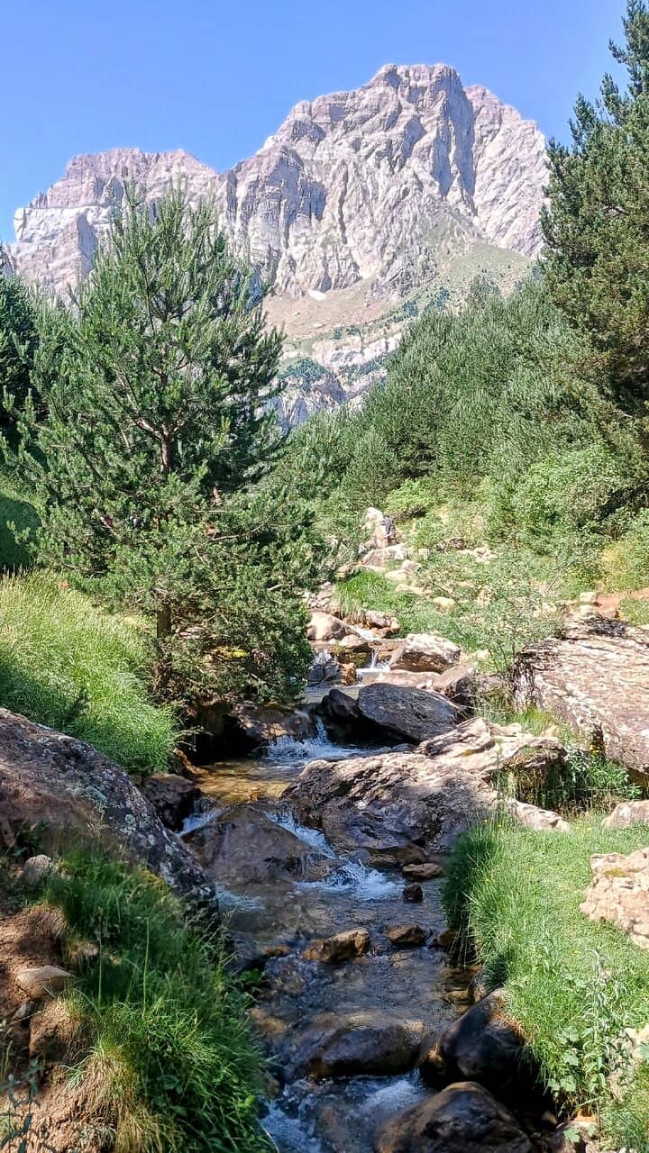 Vertical photo