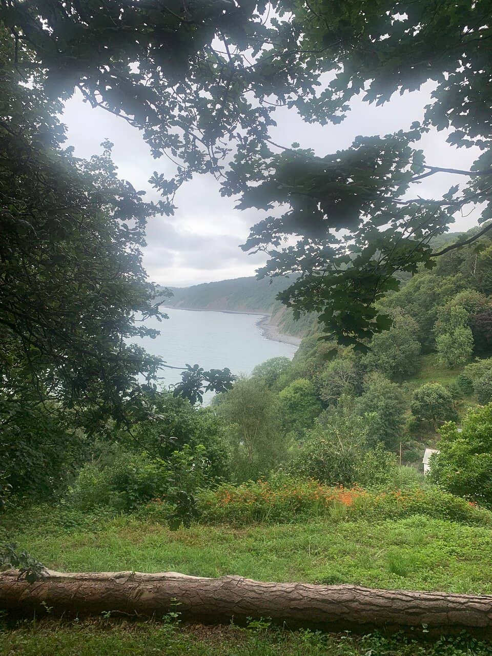 Birdwatching Haven